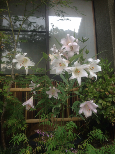 作品集・葉月園